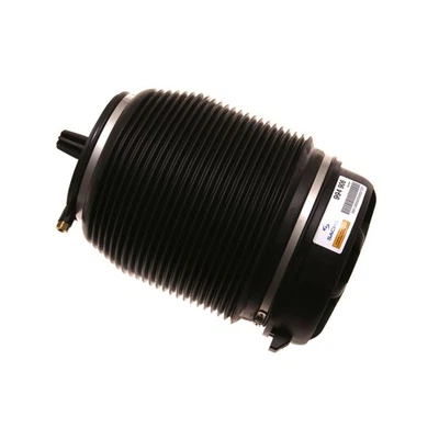 For Audi A6 S6 2006 2007 2008 2009 2010 2011 Sachs Rear Air Spring DAC - Imagem 1 de 4