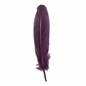 Goose Pointer Feathers 10 grams - Dusty Mauve - Picture 1 of 1