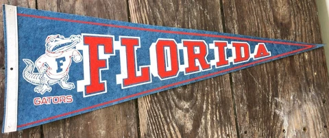 Vintage 1972 University of Florida Gators Felt Pennant 29" Big OLD Logo Cover