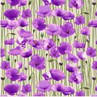100% Cotton Fabric Nutex Purple Poppies Poppy Floral Flower Remembrance Day