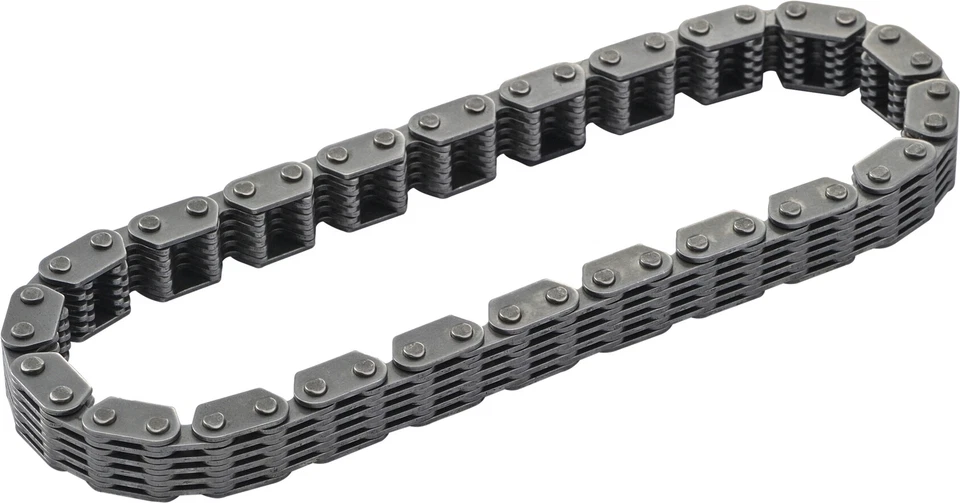 HARDDRIVE 1999-2006 FLHT Electra Glide Harley Davidson Primary Cam Chain TC 88" Foto 1 de 1