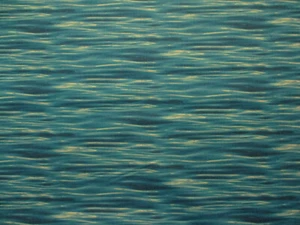 WATER WAVES LAKES OCEAN DEEP SHADES BLUE WHITE COTTON FABRIC BTHY - Picture 1 of 5