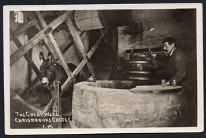 Postcard Isle of Wight donkey wheel driven Great Well in Carisbrook Castle RP - Picture 1 of 2