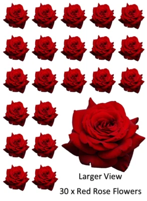 FRANKIES BAKERY Red Rose x 30 Cupcake Toppers Edible Wafer Paper Fairy Cake Toppers