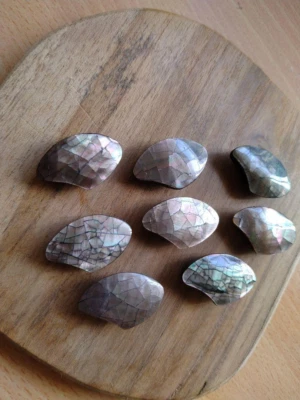 8pcs silver-colored ##mm bundle of shell buttons special vintage  buttons shell - Image 1 of 4