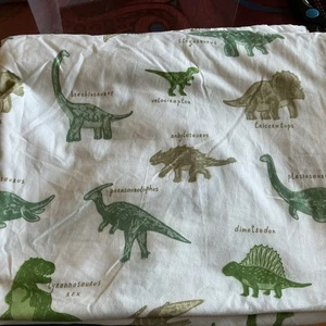 Birkenrinde Kinder 100 % Baumwolle Dinosaurier Twin komplettes flaches Laken und Kissenbezug grün - Bild 1 von 9