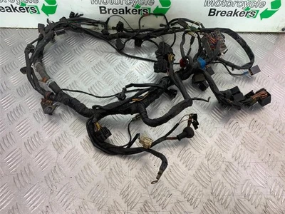 TRIUMPH 955i DAYTONA WIRING LOOM YEAR 2002-2006 (CMB1229) - Image 1 of 4