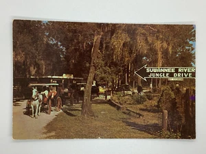 Postcard Suwannee River Jungle Drive Horse Cart Carriage Ride Florida FL H356 - Picture 1 of 2