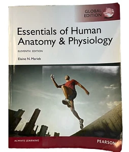 Essentials of Human Anatomy & Physiology Global Edition 11th  Elaine Marieb - Bild 1 von 24