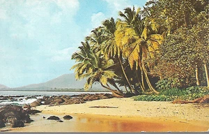 Bureh Town, Sierra Leone - Coconut Palms - Valchrome postcard c.1960s - Picture 1 of 2