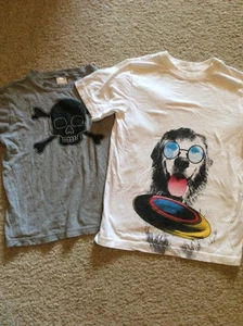 Lot Of 2 Boys Tshirts Gymboree/Childs Place - Picture 1 of 3