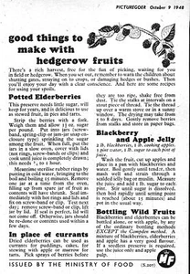 1948 Ministry of Food Advert "Things to Make with Hedgerow Fruit" Small Print Ad - Foto 1 di 1