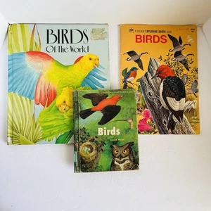 Lot of 3 Vintage Children's Bird books Follett Science Golden Exploring Earth - Foto 1 di 24