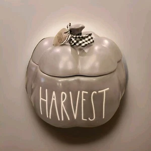 Rae Dunn 8.5" Ceramic "Harvest" Grey Pumpkin Canister / Lid with silicone seal - Picture 1 of 12