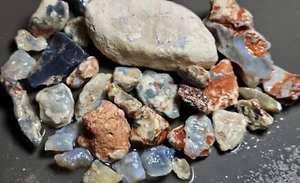 Lightning Ridge Opal Rough & Rub Parcel Blue Purple Lapidary 728.7 Ct Australian - Picture 1 of 24