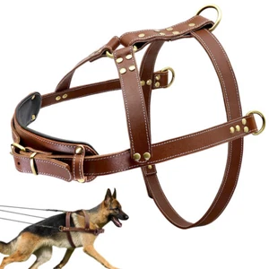 Heavy Duty Leather Dog Weight Pulling Harness Training German Shepherd Boxer - Picture 1 of 13