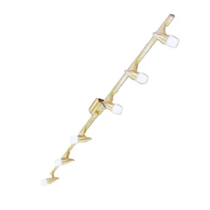 Eglo LED Faretto da Soffitto Nando Ottone Opaco 1,83m Lungo 6 X 2W=20W G9 - Foto 1 di 3