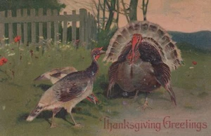 Thanksgiving Greetings Two Turkeys Vintage Postcard Germany - Picture 1 of 2