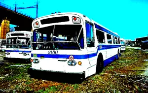 ORIGINAL KODACHROME SLIDE NYC BUS 1977 FLXIBLE #9180, & 9242 WALNUT OCT 25, 1991 - Picture 1 of 1