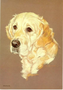 Golden Retriever Open Edition Art Print by Sue Driver - Picture 1 of 1