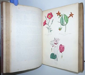 EMMANUEL LE MAOUT Organographie Et Taxonomie Histoire... BIOLOGY PLANTS 1854 - Picture 1 of 12