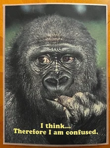 VTG FUNNY GORILLA MONKEY FACE LAMINATED CARD/WALL ART COMICAL SAYING 10X8" 1970s - Picture 1 of 2