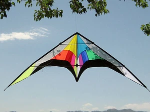 Stunt Kite Dual Line 102"x30" RipStop Nylon + Fiberglass Spars + Lines + Bag - Picture 1 of 9
