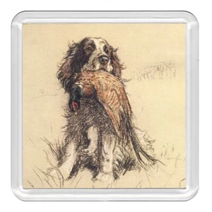 English Springer Spaniel Dog Acrylic Coaster Novelty Drink Cup Mat Great Gift - Picture 1 of 1