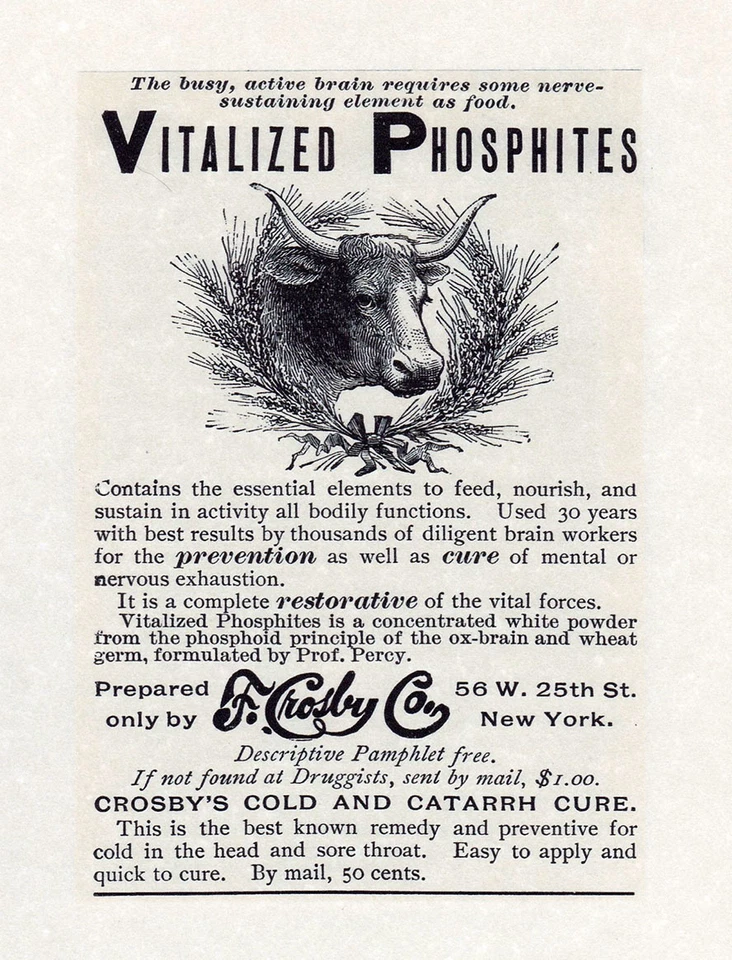 AD QUACK MEDICINE 1898 CROSBY Catarrh VITALIZED PHOSPHITES 6x9" Reprint - Image 1 of 1