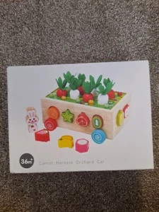 Montessori Wooden Educational Toy, Carrot Harvest Orchard Car Shape Sorting Toys - Picture 1 of 1