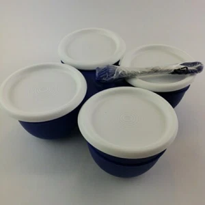 Tupperware Essentials 4 Section Condiment Server Set Blue w/White seals NEW - Picture 1 of 10