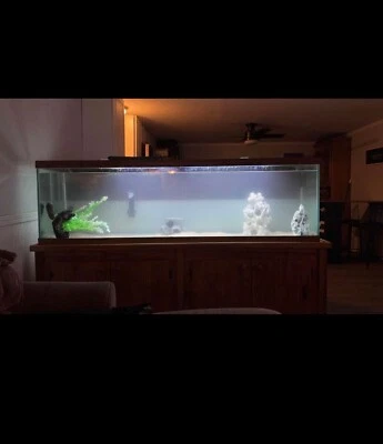 аквариум - Изображение 1 из 3