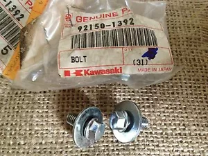 Nuevo de lote antiguo Kawasaki Bot Radiator KX80 KX100 KX125 KX250 VN1500 92150-1392 Cantidad 2 - Imagen 1 de 1