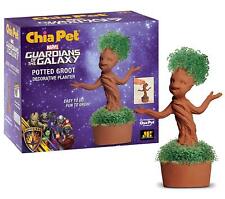 Chia Pet Planter - Potted Groot