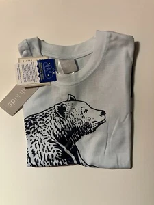 Boys Size 8 Outfit – Bear Graphic T-Shirt & Surf Shorts Set – Summer Clothes - Picture 1 of 2