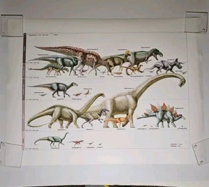 TIMELINE OF DINOSAURS HISTORY WALL POSTER 24" x 32" VG Condition  - Picture 1 of 3