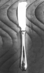 WILKENS ROTONDO Butter Knife 7" NEW NEVER USED made in Germany - Picture 1 of 6