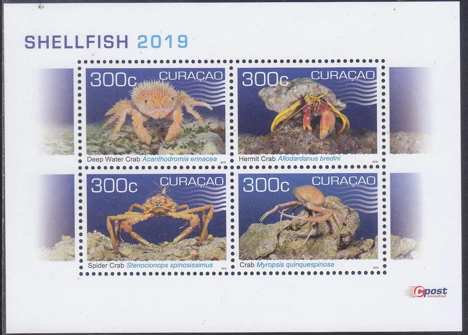 Curazao Edición 2019 (SS 417) Vida Marina Foto 1 de 1