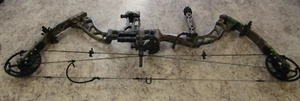 Bowtech SWAT Compound Bow (S.W.A.T.) - w/ sight, rest, and more - Picture 1 of 17