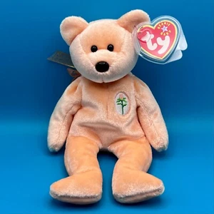 TY Beanie Baby - QUERIDO el Oso (8,5 pulgadas) - Imagen 1 de 1