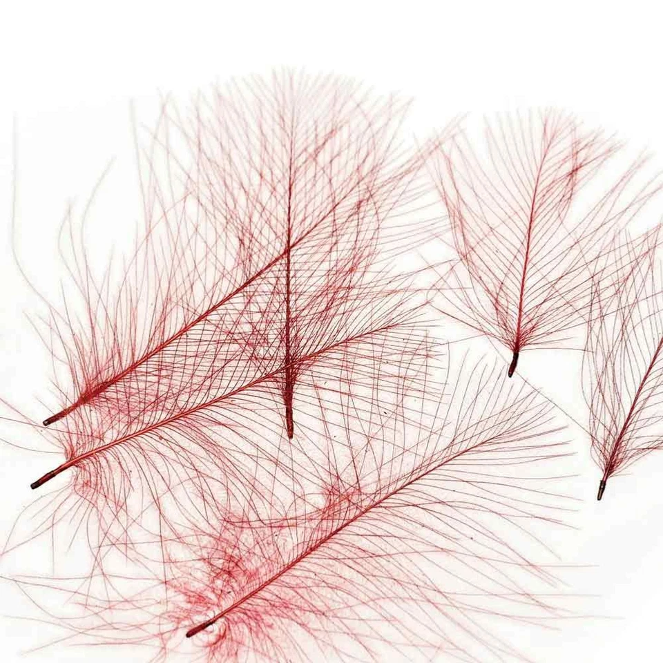 VENIARD Cul de Canard CDC Super Select - Fliegenbindematerial