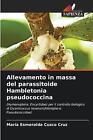 Allevamento In Massa Del Parassitoide Hambletonia Pseudococcina By Mar?A Esmeral