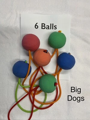 Bolas de honda - Paquete de 6 - Juguete grande para perro - Juegos de buscar - Colores surtidos Foto 1 de 4
