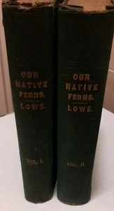 Our Native Ferns - Vol 1 & 2 - EJ Lowe Illustrated - Vintage 1865 /67 Hardback - Picture 1 of 24