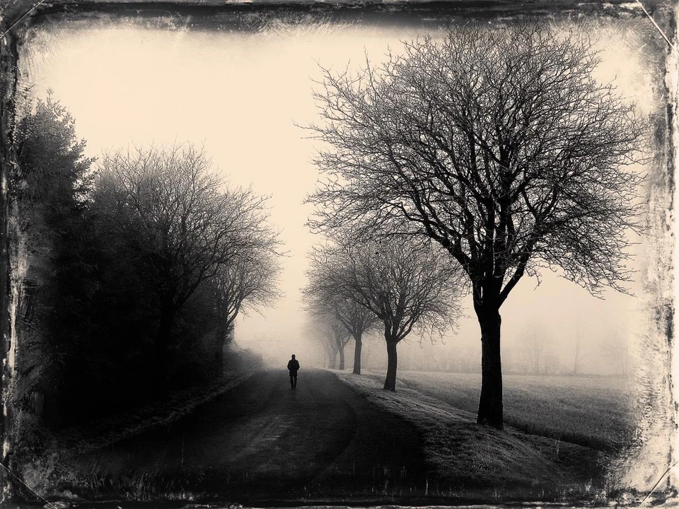 Walking J Edwards Original Art Tintype Limited Series From Artist C003 - Изображение 1 из 1