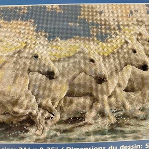 Janlynn Seaside Horses Counted Cross Stitch Kit 013-0338 Sealed Beach White 2006 - Picture 1 of 9
