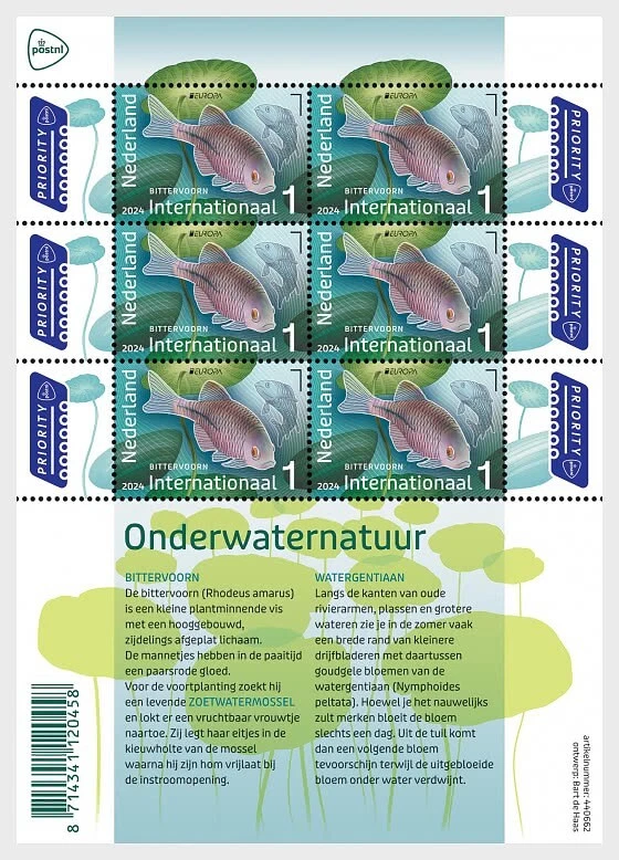 netherlands 2024 nederland pays europa Bitterling Acheilognathinae ms6v mnh - Image 1 of 1