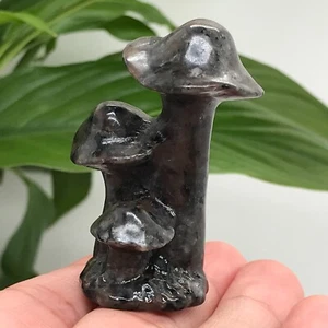 1pc Natural flame's stone mushroom Skull Quartz Crystal skull Reiki healing 1.8" - Picture 1 of 12