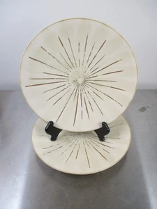 Pier 1 Imports SANCTUARY 11,5" Speiseteller schweres Steinzeug 2er Set Teller - Bild 1 von 9