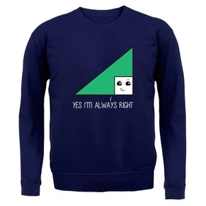 Yes I'm Always Right - Kids Hoodie / Sweater - Math Maths Pun Joke Funny Love - Picture 1 of 20